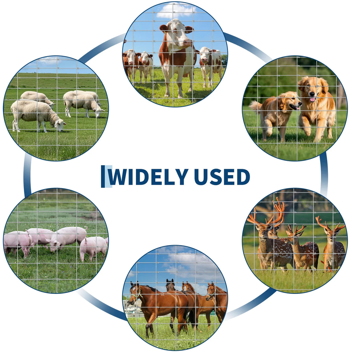 Heavy-Duty Galvanized Welded Wire Cattle Fence Roll, 14-Gauge Rust-Resistant Graduated Livestock Field Fencing - Whiskersnwigglesshop