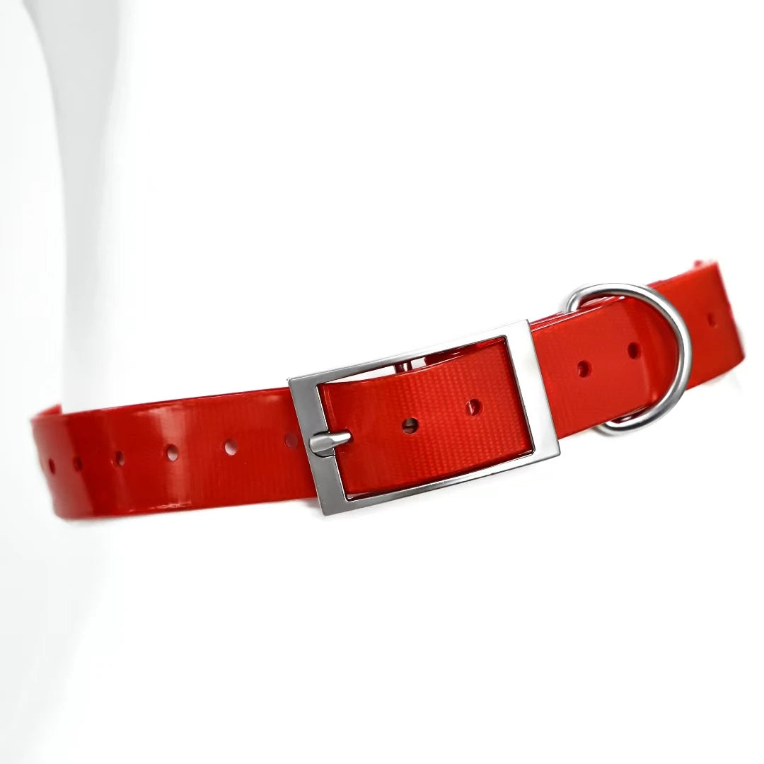 2.5cm Wide Heavy Duty TPU Waterproof Dog Collar in 8 Colors