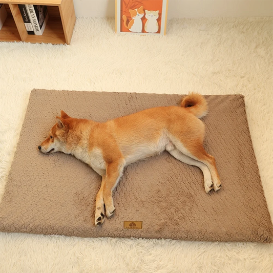 Orthopedic Foam Pet Bed With Removable Washable Faux Fur Cover & Anti-Slip Bottom
