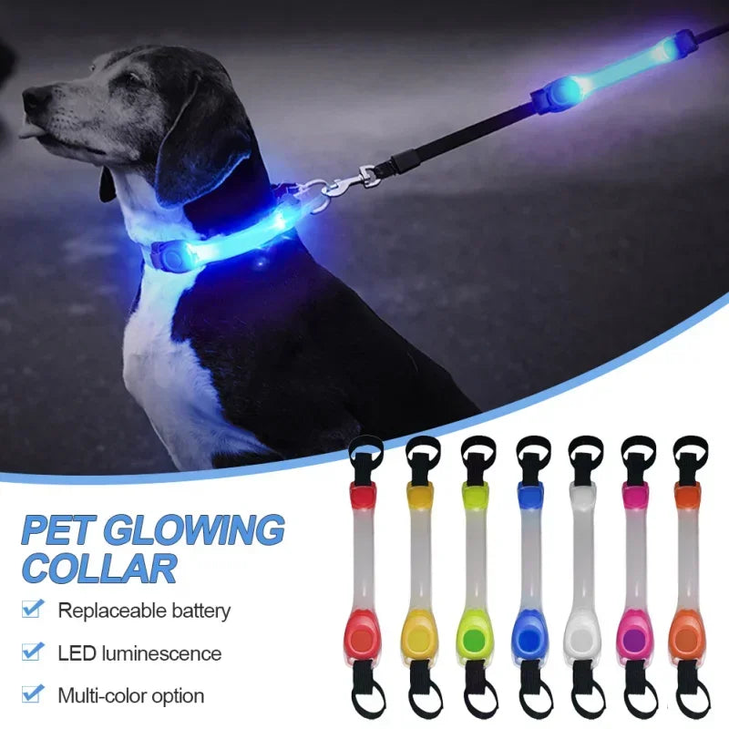 Waterproof Multi-Color Dog Safety Glowing Collar for Night Visability