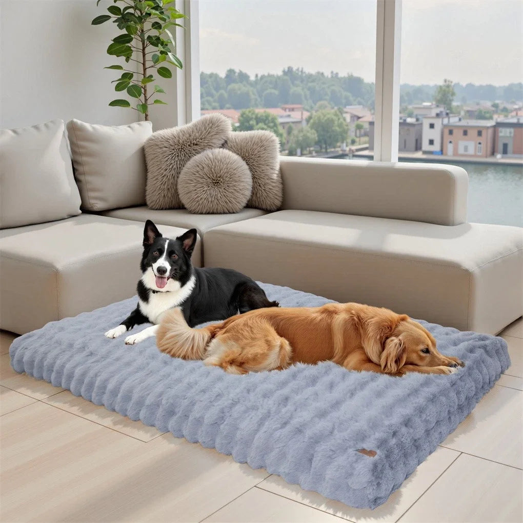 BINGOPAW Ultra-Soft Dog Bed with Removable Cover Machine Washable Cozy Sleep Bed
