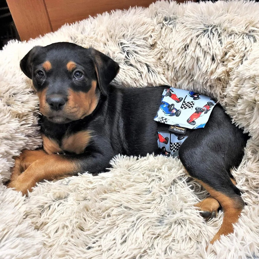 Pack of 6 Male Dog Diapers 4 - Layers of Absorbent Pads Waterproof Leak Proof Belly Band Wrap