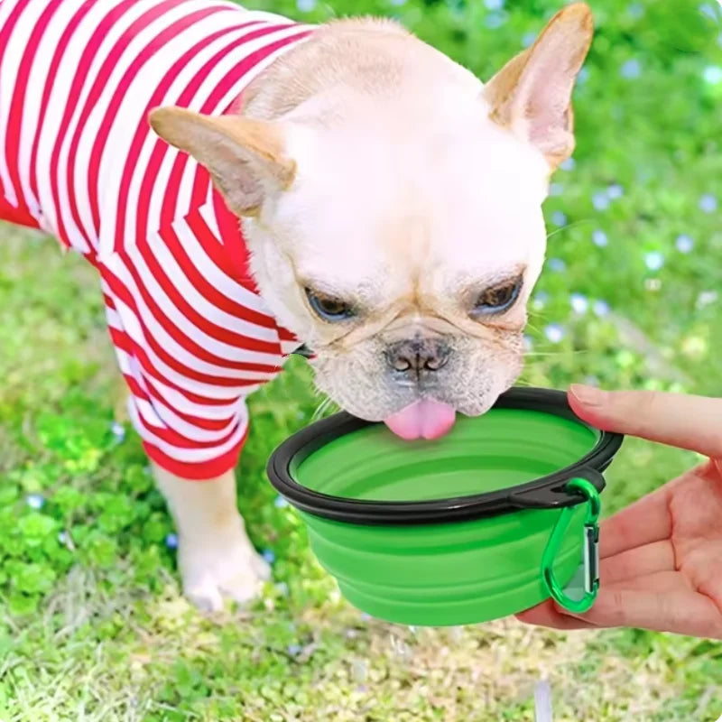 Durable Collapsible Travel Portable Pet Food Bowl for Pets - Whiskersnwigglesshop