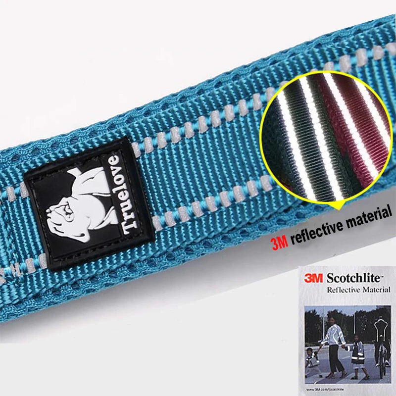 Luxury Dog Leash with Padded Handle