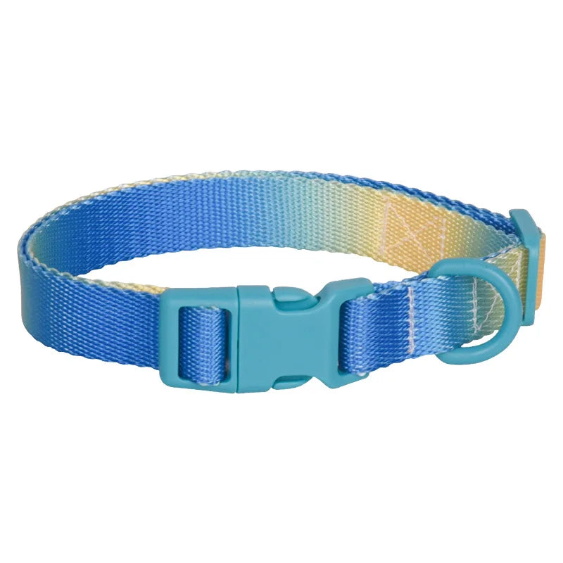 Fashion Durable Gradient Color Adjustable Nylon Dog Collar