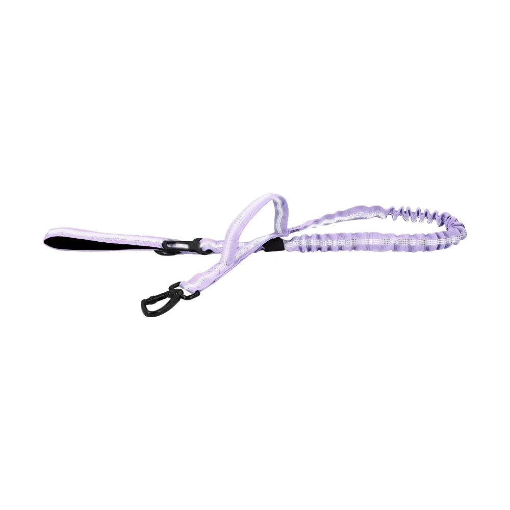 Adjustable Dog Leash with Quick Release and 2 Control Handles