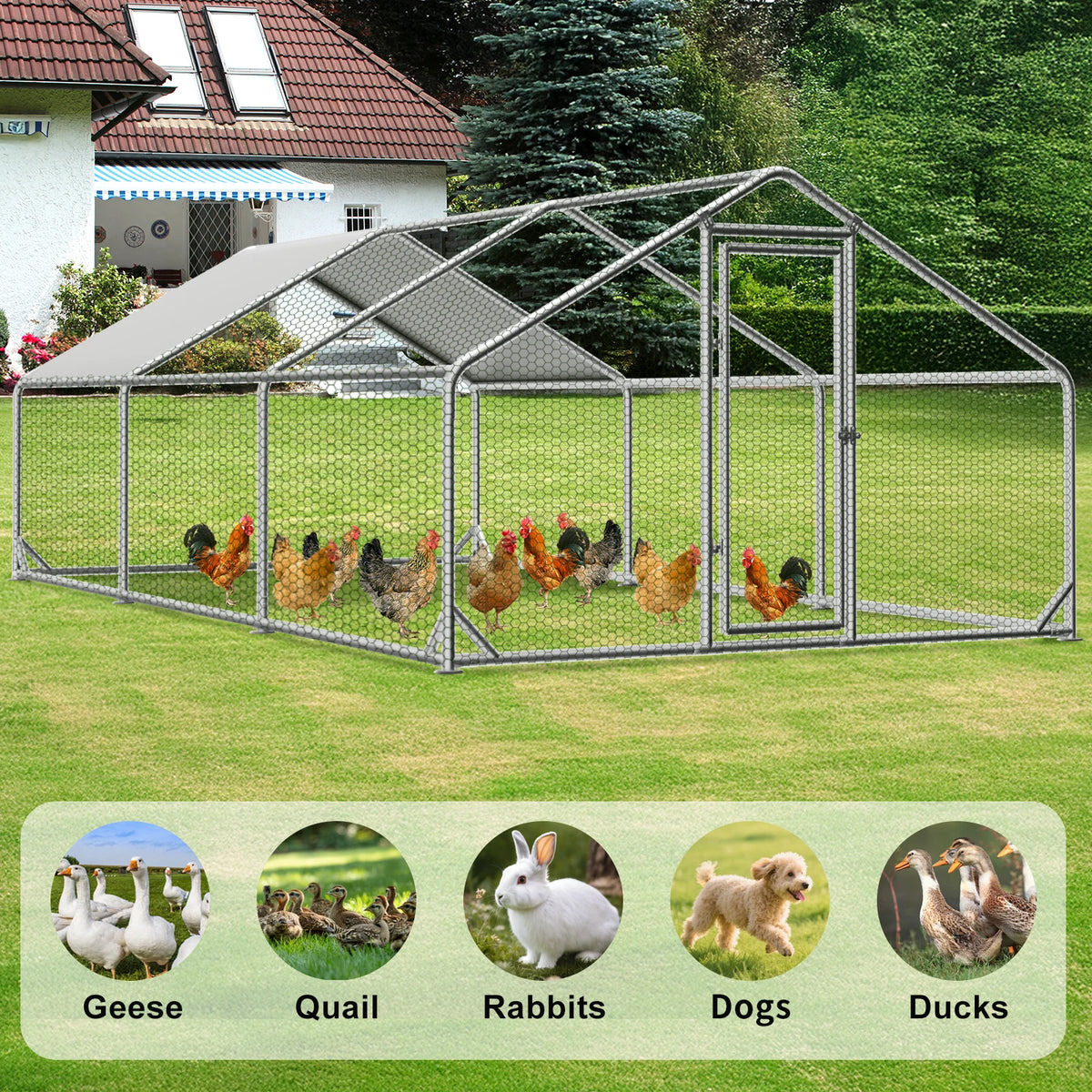 Large Chicken Coops for 20/30/50 Chickens,Outdoor Metal Walkin Poultry Cag with Cover Lockable Doors,Ducks Coop and Other Small Animals for Yard/Farm/Ranch (19.72'L x 9.88'W x 6.59'H)