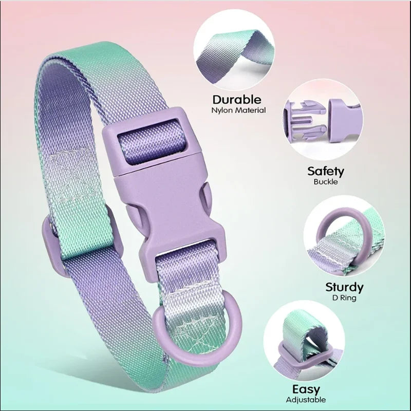 Fashion Durable Gradient Color Adjustable Nylon Dog Collar