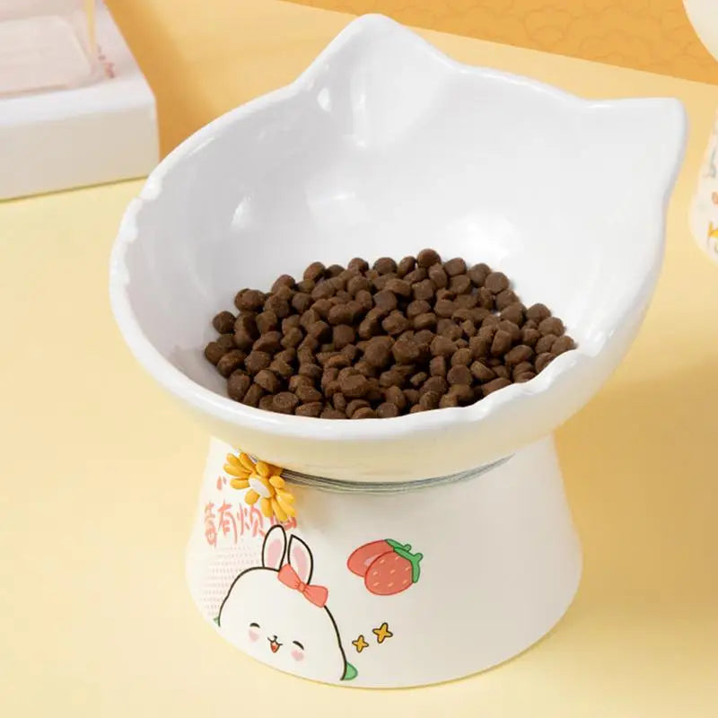 Elevated Ceramic Cat Bowls