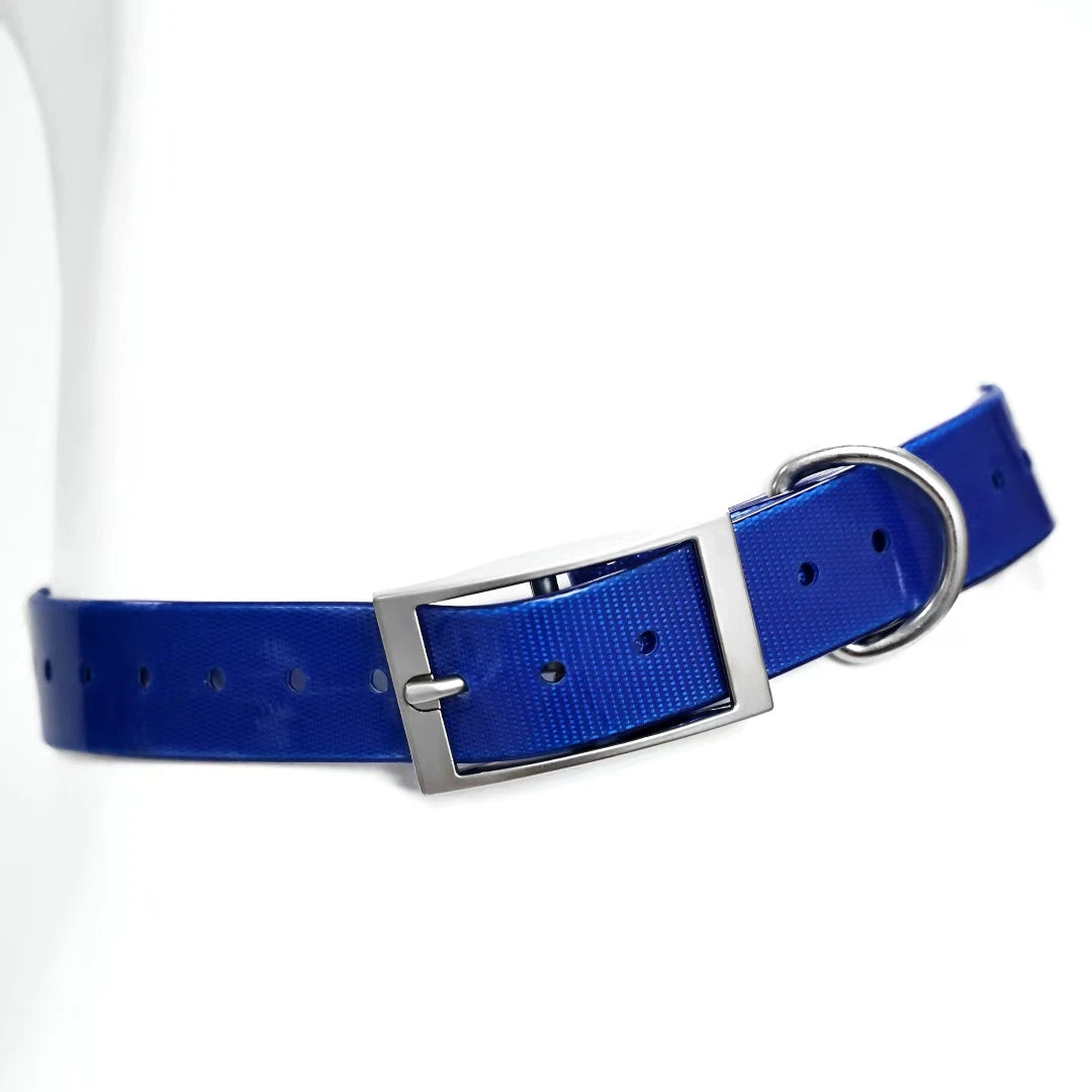 2.5cm Wide Heavy Duty TPU Waterproof Dog Collar in 8 Colors
