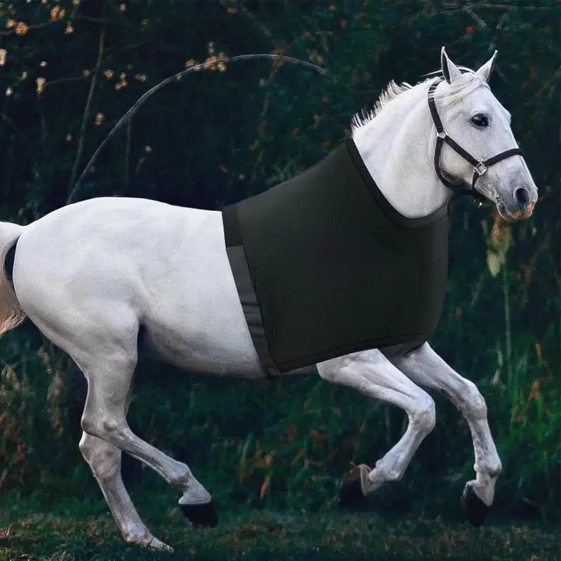 Horse Sleezy Belly Guard Breathable Horse Shoulder Pads Shoulder Guard Anti Friction Horse Bibs Horse Chest Saver