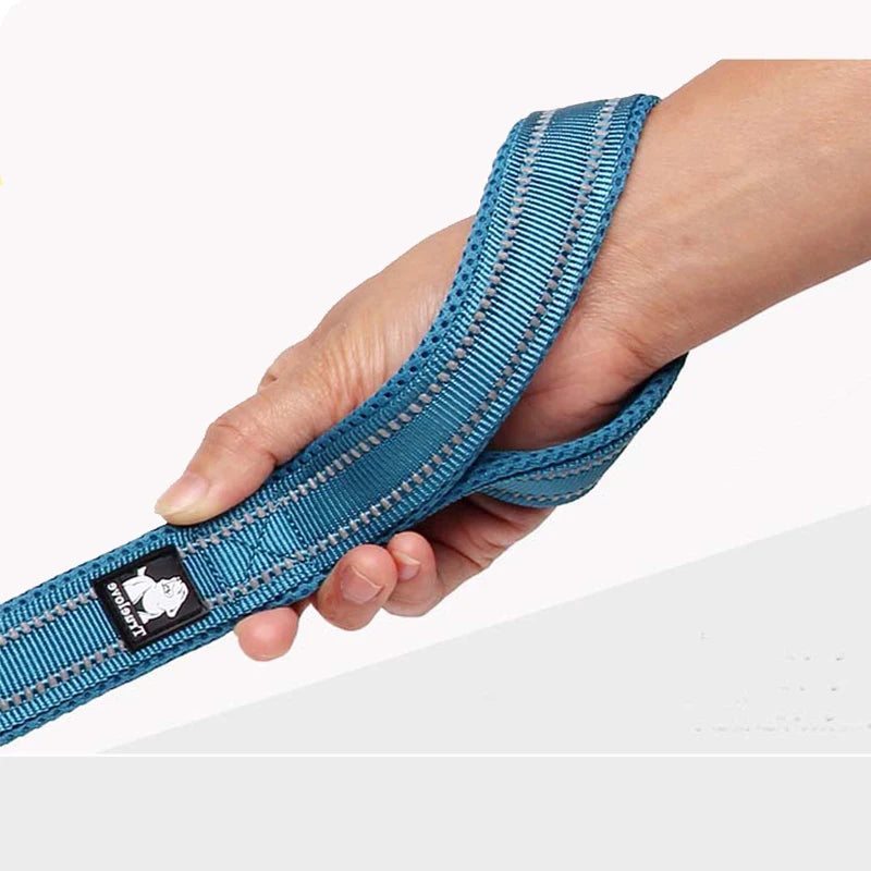 Luxury Dog Leash with Padded Handle