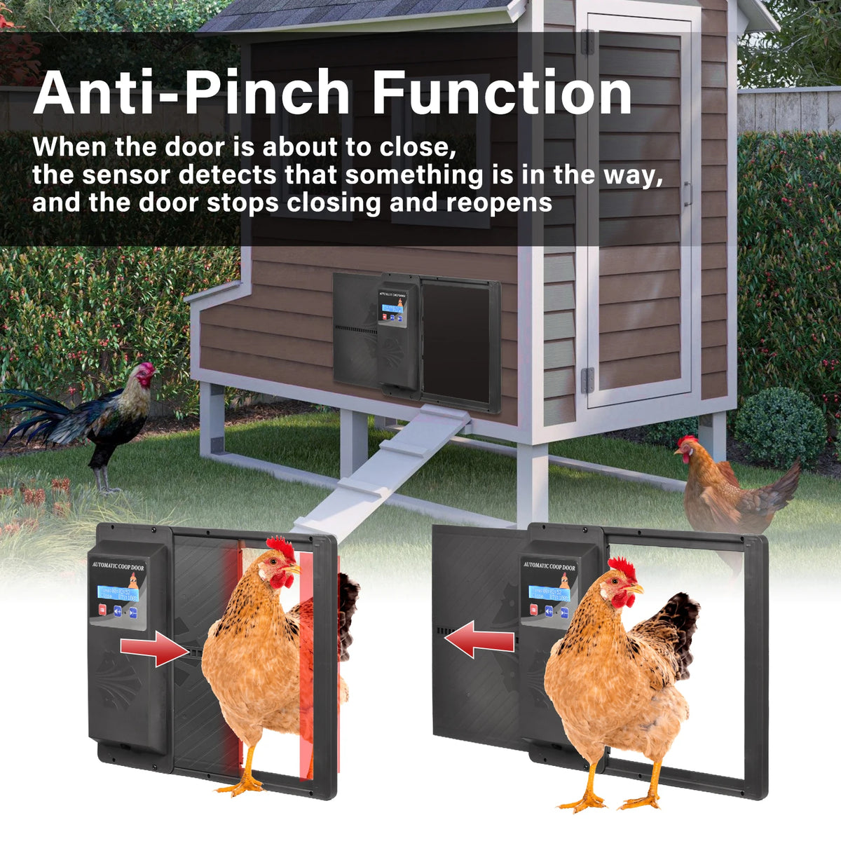 Automatic Chicken Coop Door Opener with Timer and LCD Screen, Anti-Pinch Safety Electric Poultry Door, Battery Powered USB Charging Aluminum Coop Door with Manual/Timer Dual Mode for Outdoor Farm Chicken House