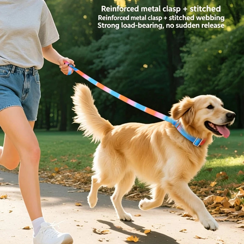 Gradient Print Nylon Dog Leash with Soft Padded Handle