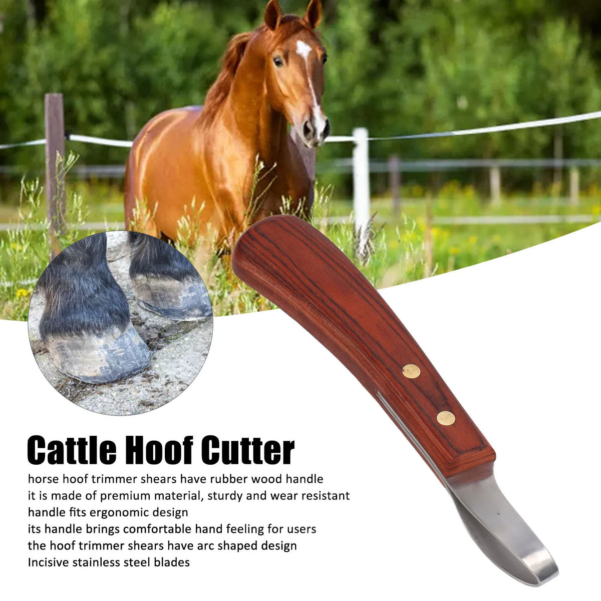 Stainless Steel Hoof Trimmer Shears 19.5cm Sturdy Rubber Wood Handle Hoof Trimmer Shears Non Slip for Livestock