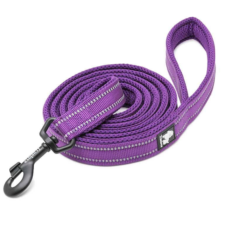 Luxury Dog Leash with Padded Handle