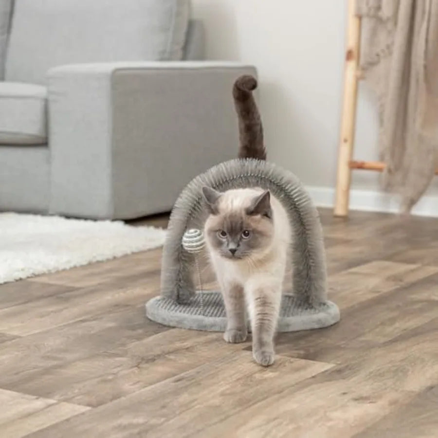 Self-Grooming Cat Plate with Brush Scratcher That Helps Reduce Shedding and Supports Healthy Skin and Coat