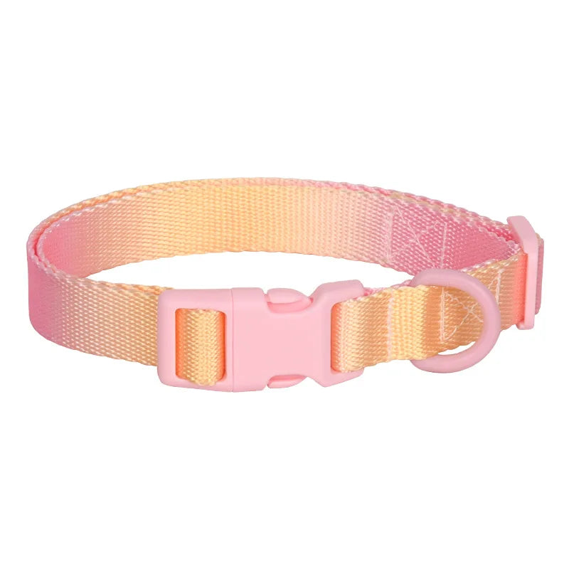 Fashion Durable Gradient Color Adjustable Nylon Dog Collar