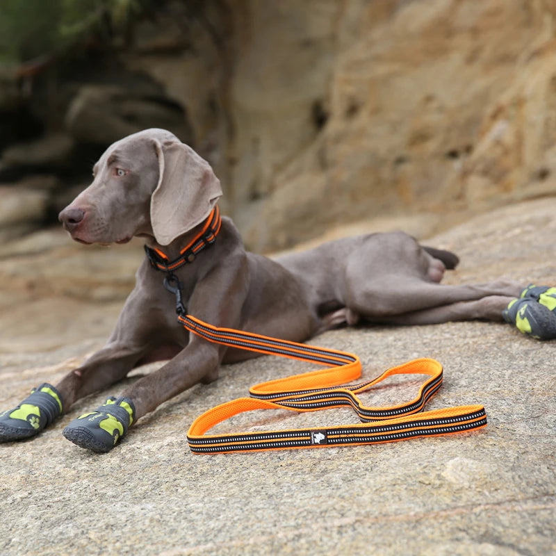 Luxury Dog Leash with Padded Handle