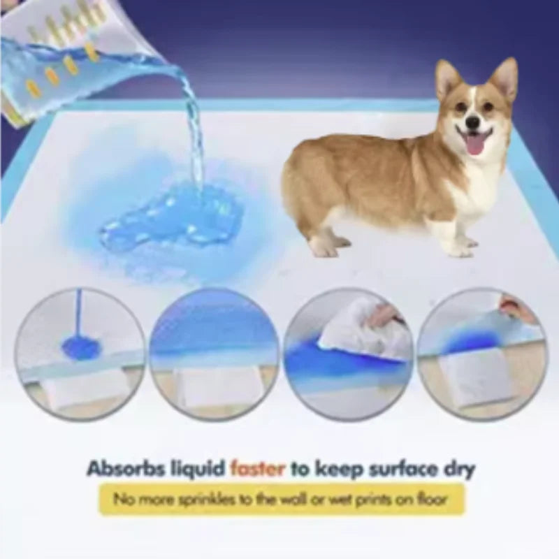 Super Absorbent Disposable Pet Urine Dog Training Pads
