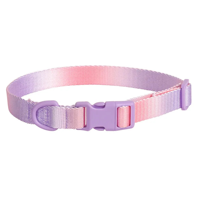 Fashion Durable Gradient Color Adjustable Nylon Dog Collar