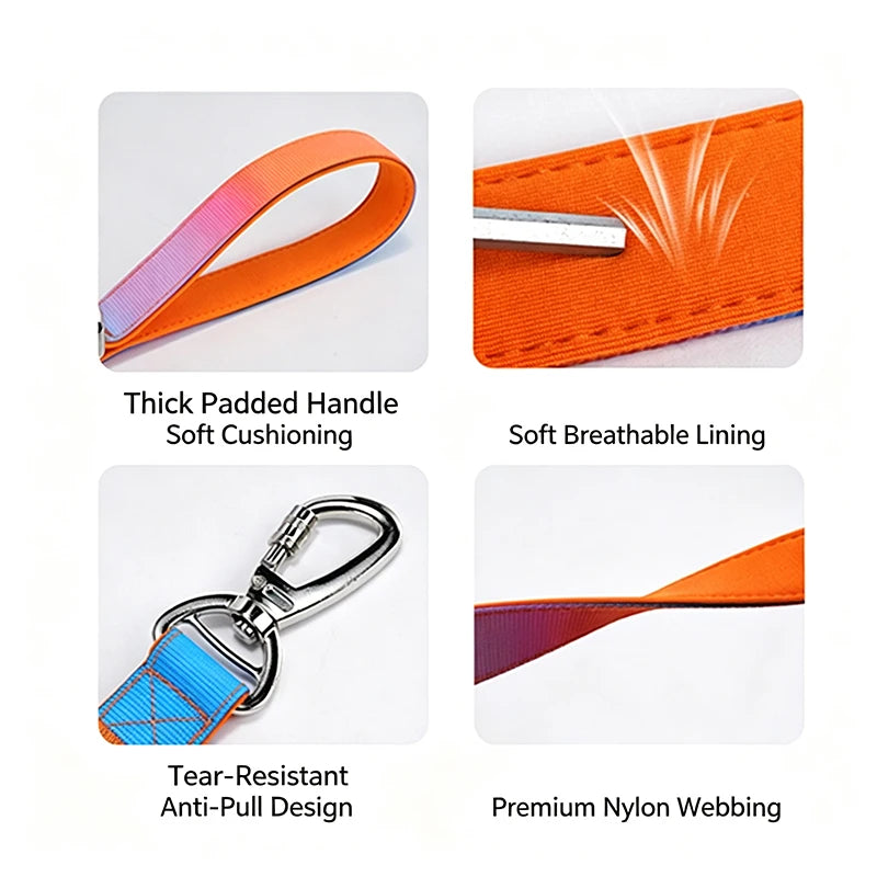Gradient Print Nylon Dog Leash with Soft Padded Handle