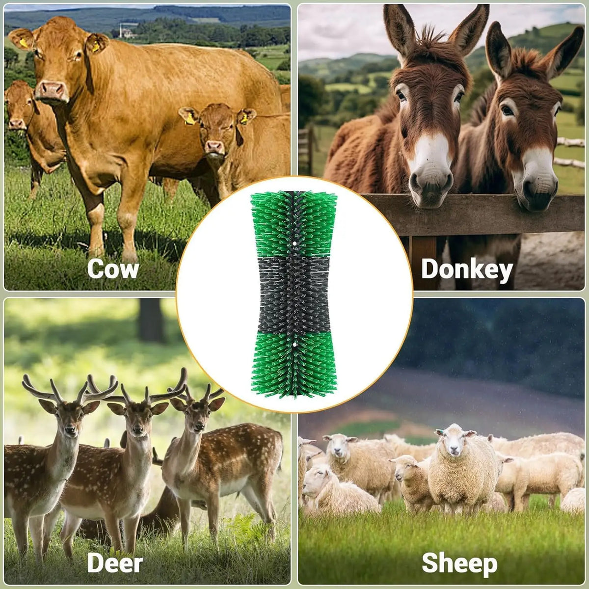 2PCS Livestock Grooming Brush for Back Scratching - Whiskersnwigglesshop