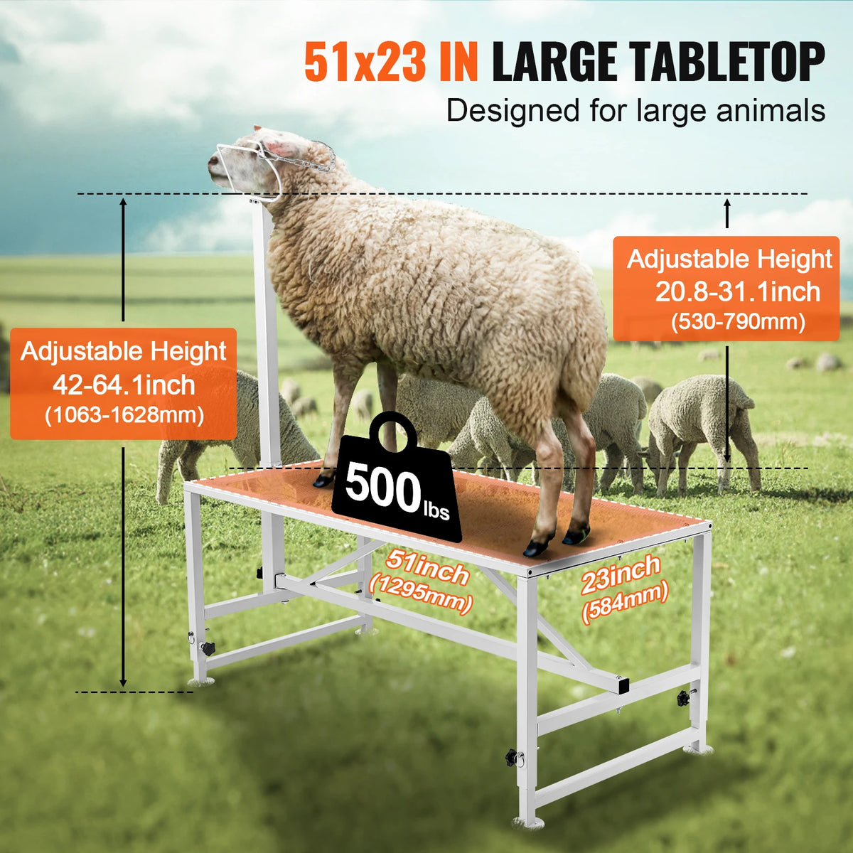 Goat & Sheep Livestock Metal Stand for Milking/Shearing - Stand 21" to 33" Adjustable Height - Whiskersnwigglesshop