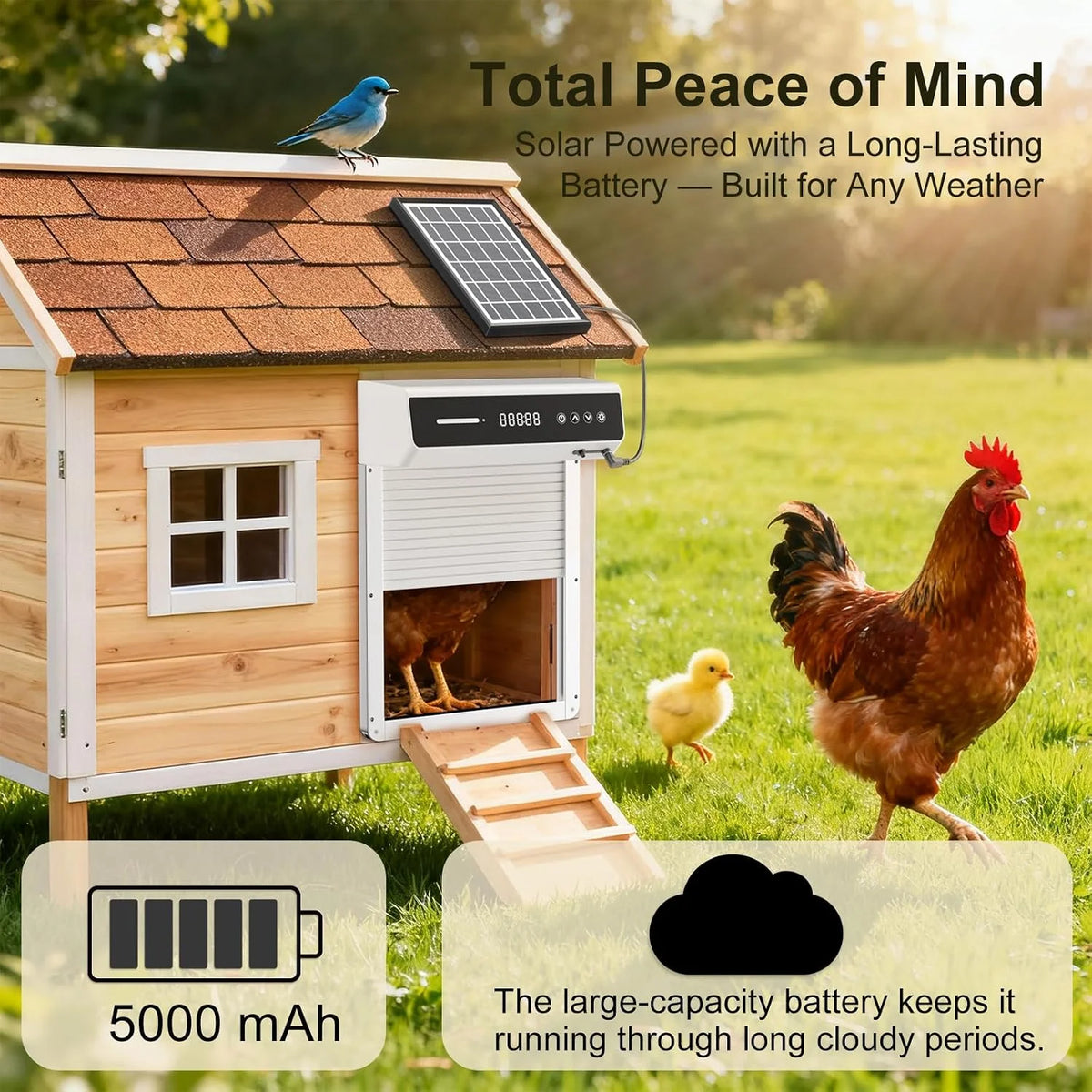 Solar Powered Chicken Coop Door Automatic Rolling Shutter Door with LCD Display Screen, Light Sensing Timed Pet Door,Support USB Charging Auto Open Close Chicken Door for Farm Backyard