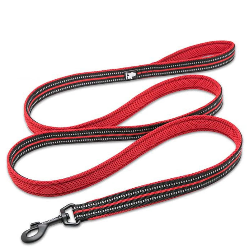 Luxury Dog Leash with Padded Handle