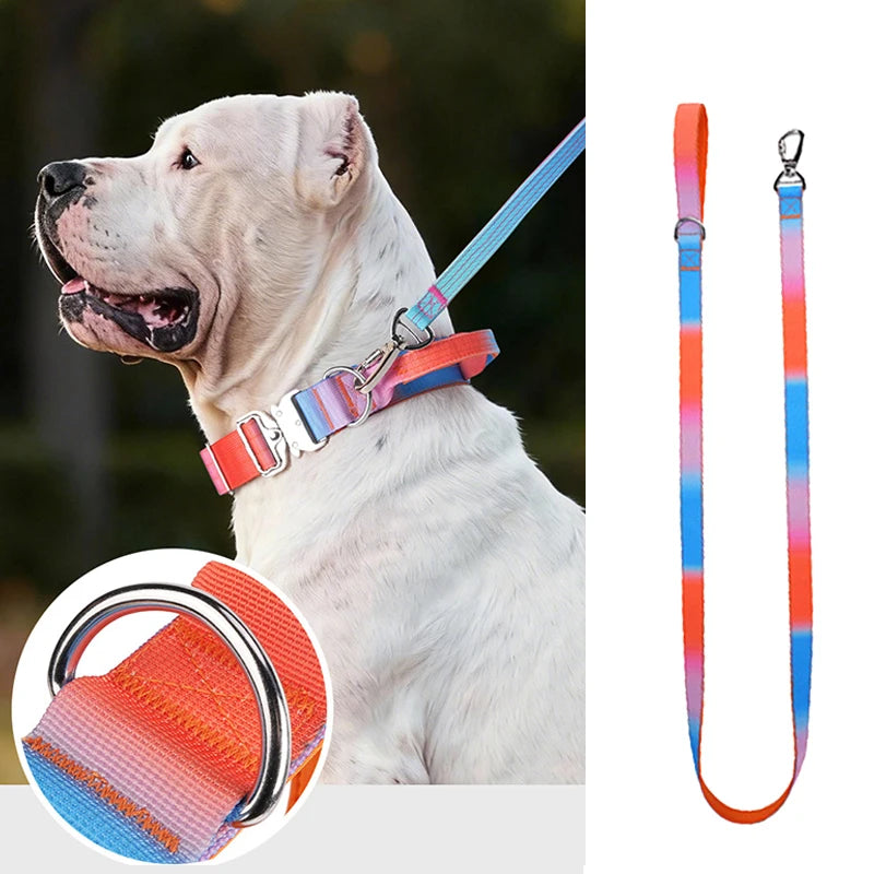 Gradient Print Nylon Dog Leash with Soft Padded Handle