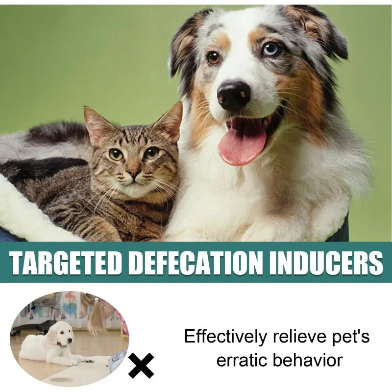 30ml Pet Toilet Training Spray for Potty Positioning Trainer Safe & Effective