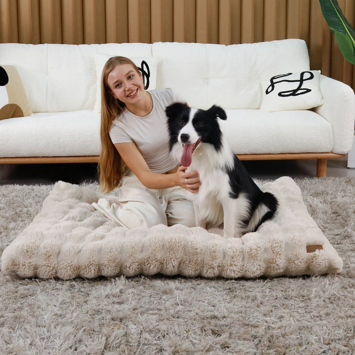Ultra-soft Plush Pet Bed With Thicker Foam Base That Comes In Multiple Sizes