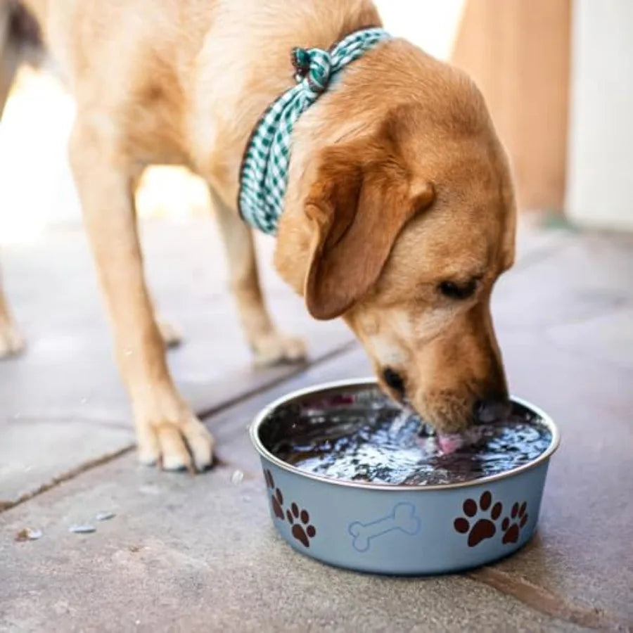 Bella Stainless Steel Dog and Cat Bowls