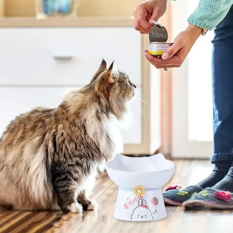 Elevated Ceramic Cat Bowls