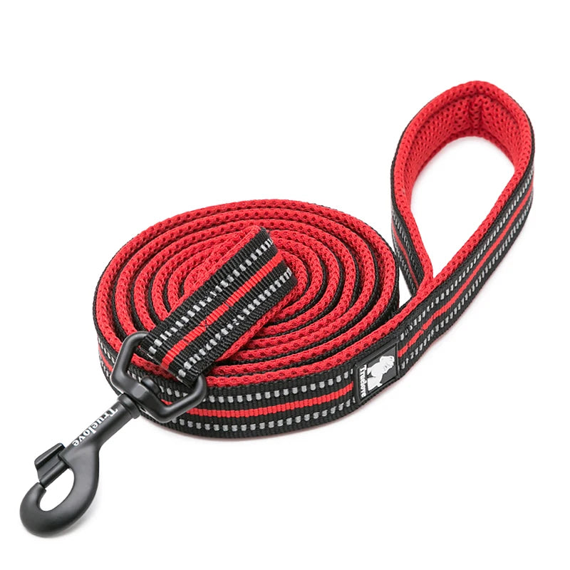 Luxury Dog Leash with Padded Handle