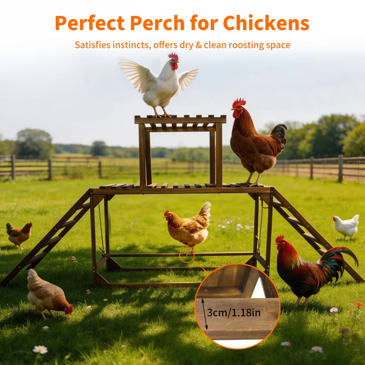 Pine Wood Chicken Perch Swing Roosting Bars with Swing & Ladder Activity