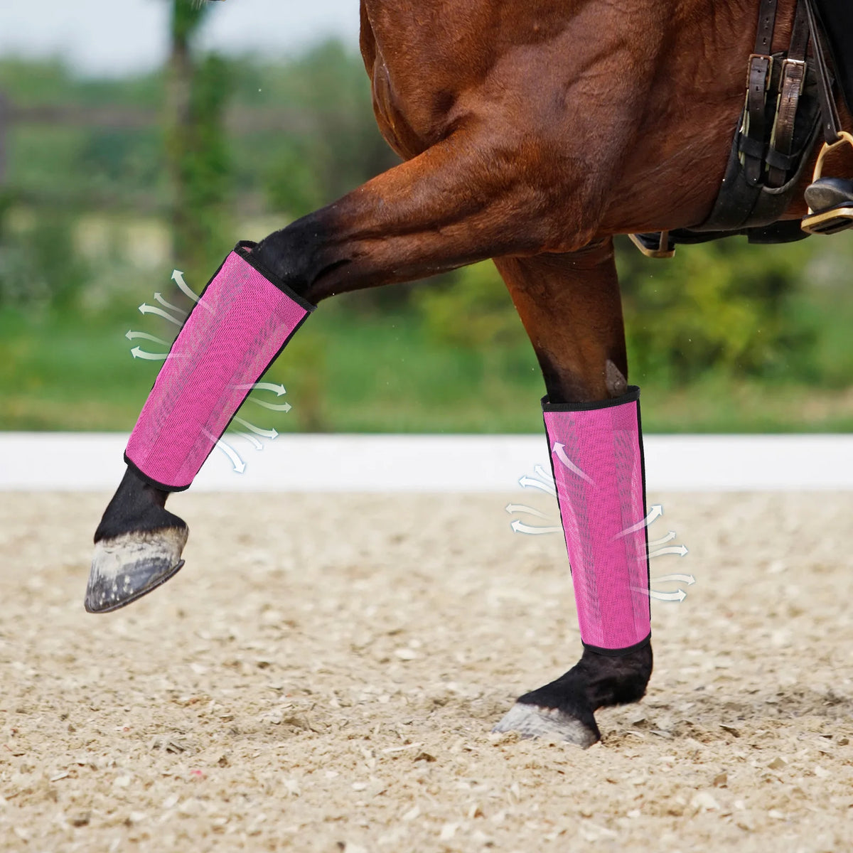 Set of 4 Horse Foot Protective Cover Breathable Mesh Horse Boots Mesh Fly Boots for Horse for Preventing Flies Mosquitoes Bite