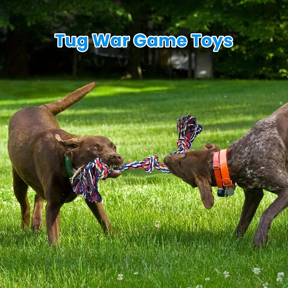 Indestructible Durable Dog Tug Of War Interactive Toys Suitable For Medium And Large Dogs