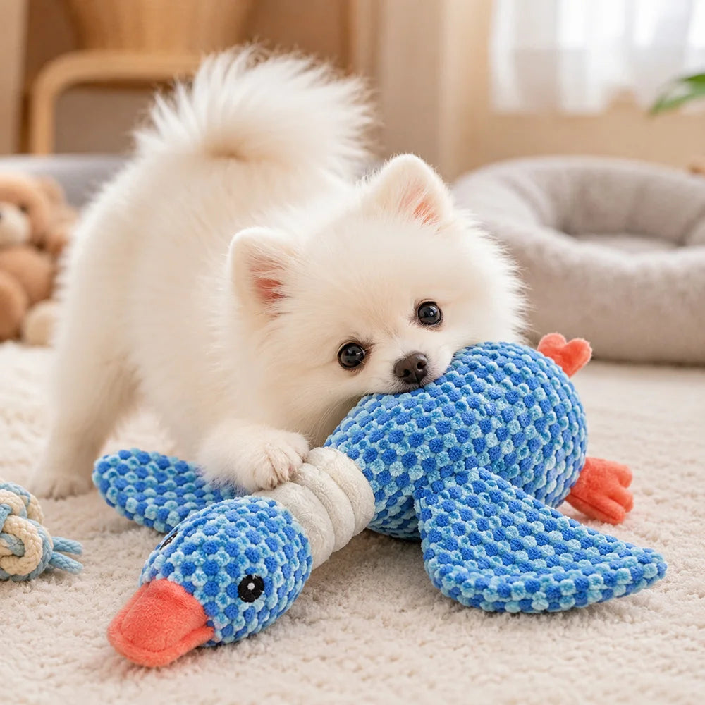 Pet Plush Toy with Squeaker for Dogs & Puppies