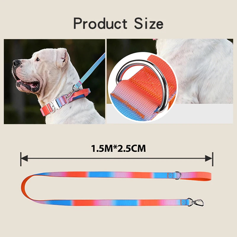Gradient Print Nylon Dog Leash with Soft Padded Handle