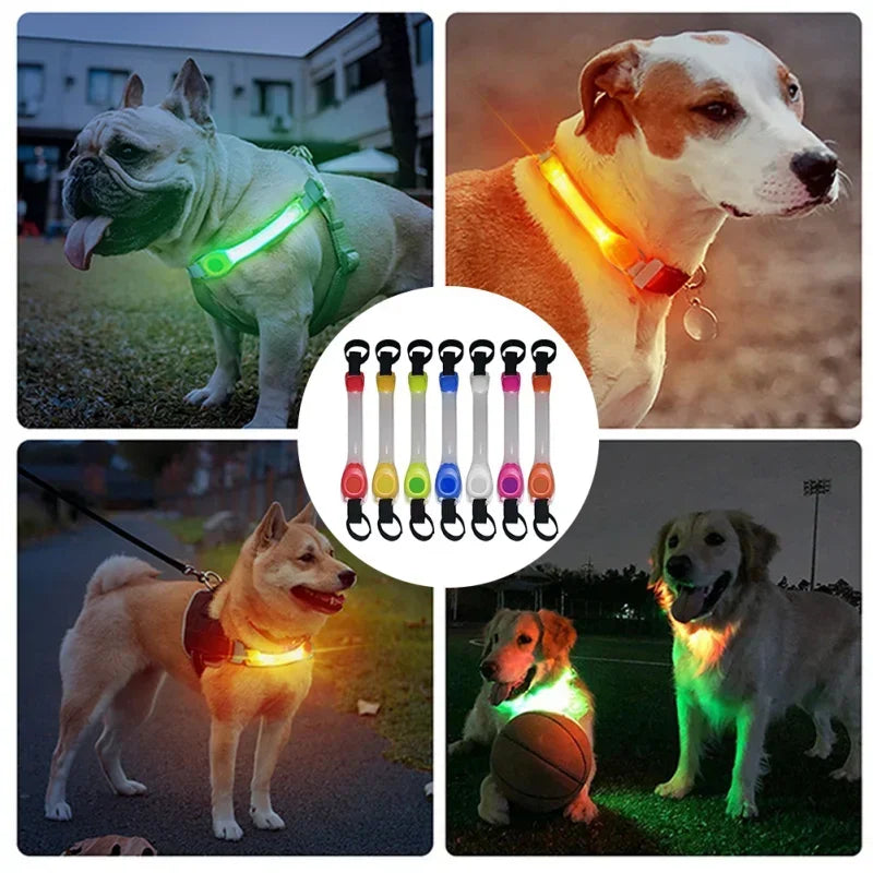 Waterproof Multi-Color Dog Safety Glowing Collar for Night Visability