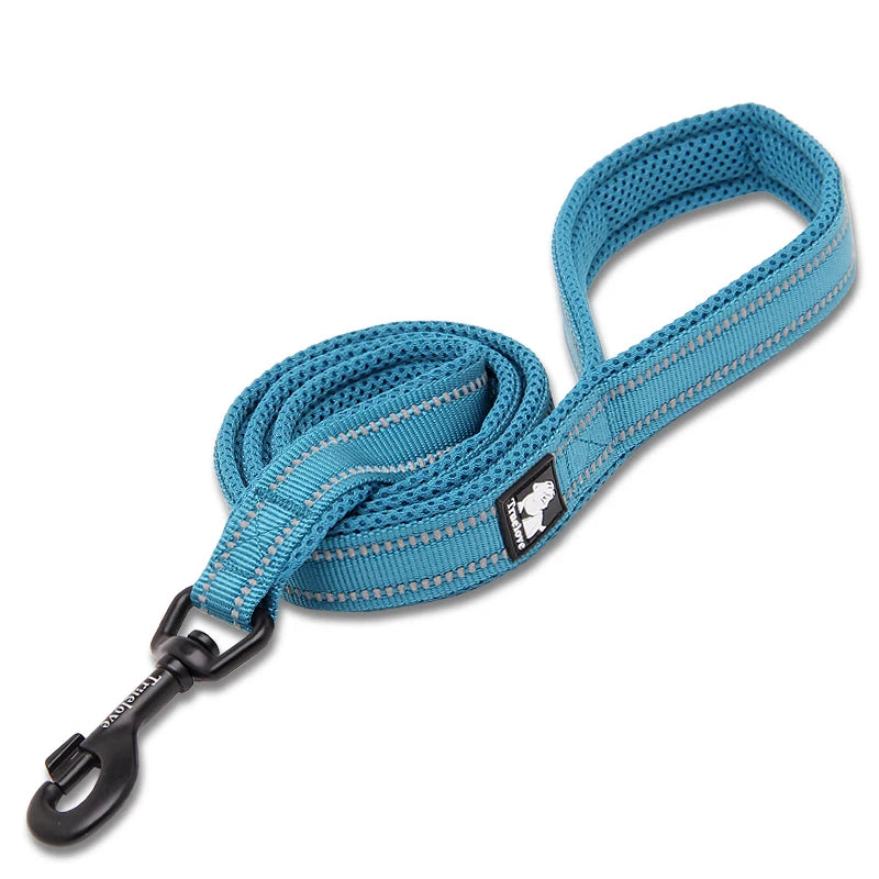 Luxury Dog Leash with Padded Handle