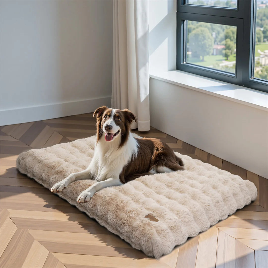 BINGOPAW Ultra-Soft Dog Bed with Removable Cover Machine Washable Cozy Sleep Bed