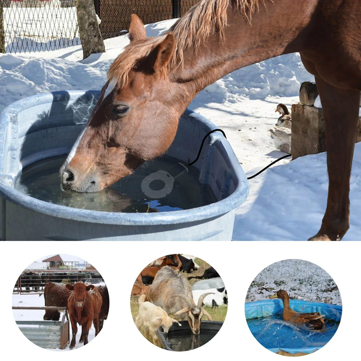 Submergible Cast Aluminum Thermostatic Control Heater De-Icer for Livestock Poultry Birds Cows Horses