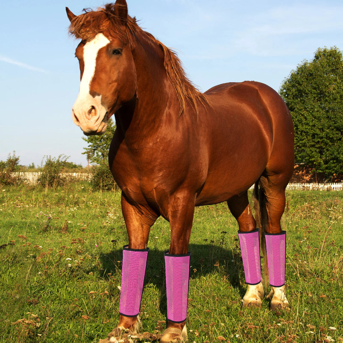 Set of 4 Horse Foot Protective Cover Breathable Mesh Horse Boots Mesh Fly Boots for Horse for Preventing Flies Mosquitoes Bite
