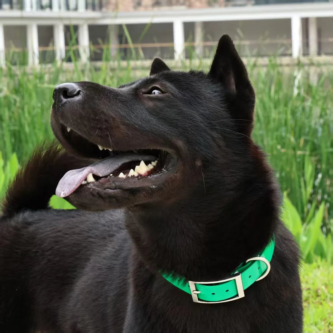 2.5cm Wide Heavy Duty TPU Waterproof Dog Collar in 8 Colors