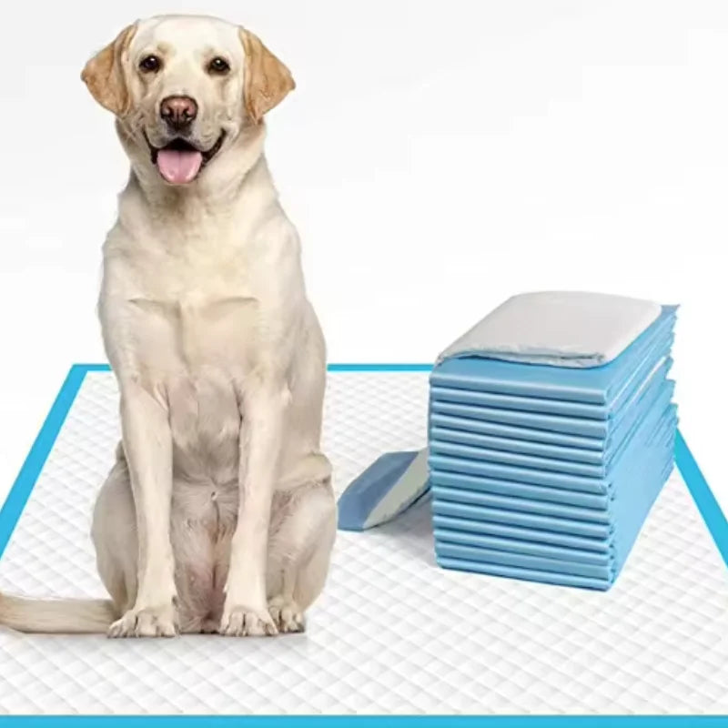 Super Absorbent Disposable Pet Urine Dog Training Pads