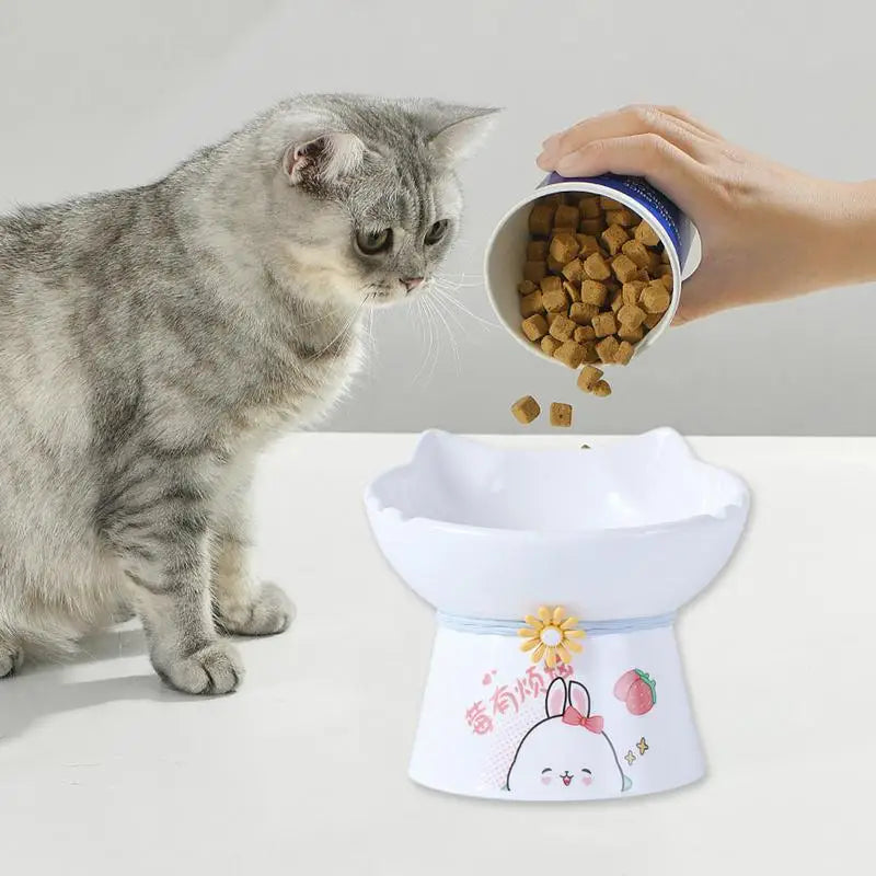 Elevated Ceramic Cat Bowls