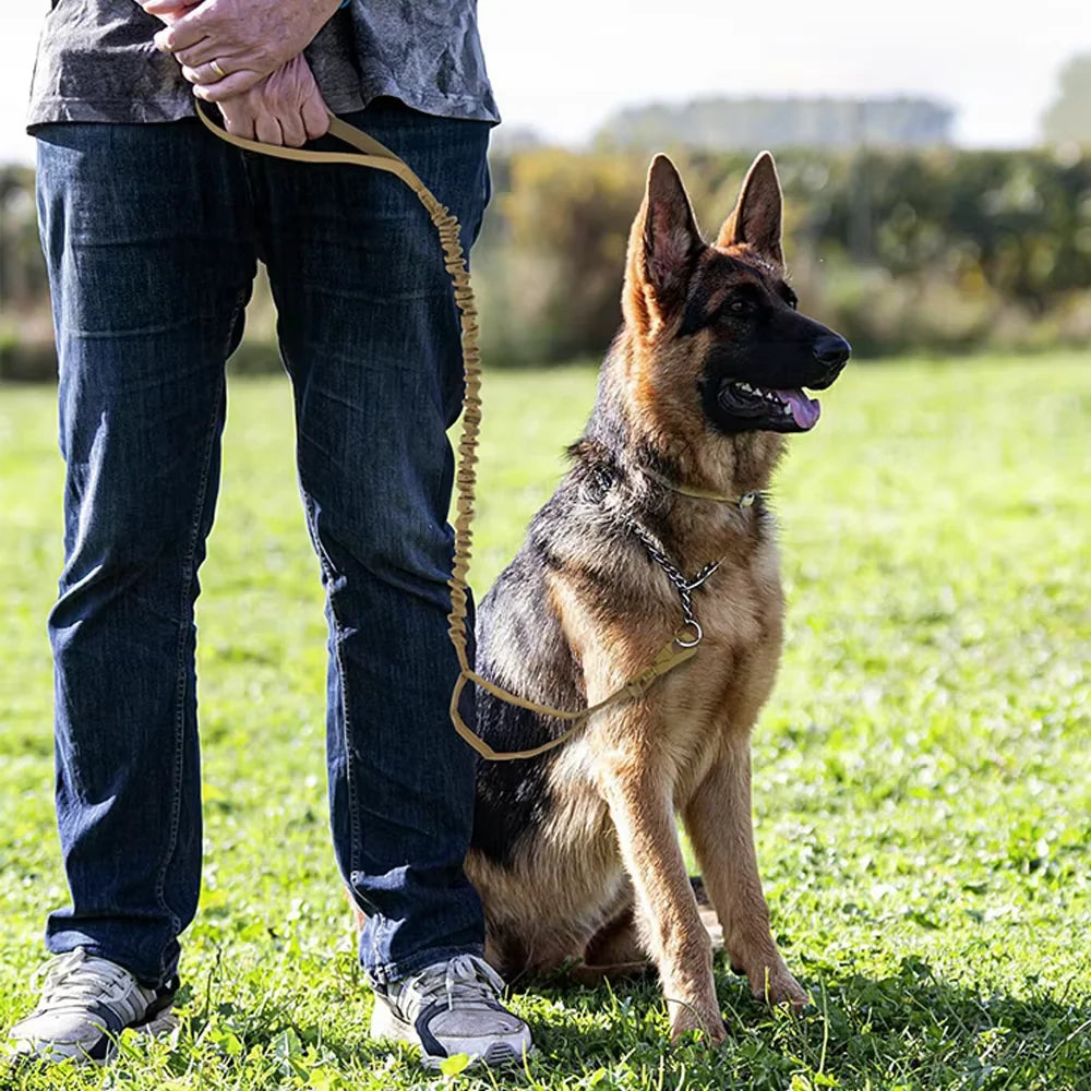 Adjustable Dog Leash with Quick Release and 2 Control Handles